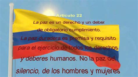 constitución política de Colombia, opiniones de la gente ...