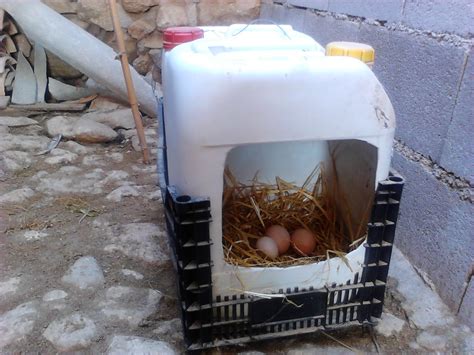 CONSTRÚYELO YA: Construir ponedero para gallinas casero
