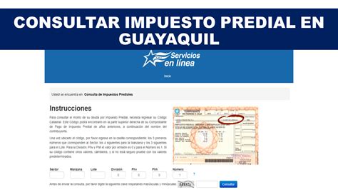 Consultar Impuesto Predial en Guayaquil 【2020】