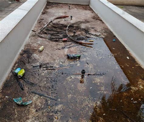 Contaminación acústica y ambiental en el residencial el Lagar de ...