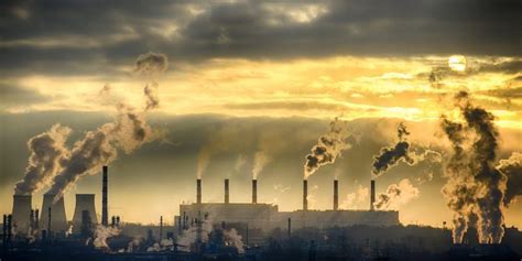 Contaminación Ambiental: causas, efectos y características