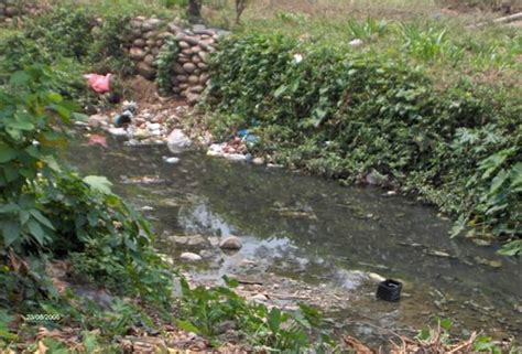 Contaminación ambiental en la ciudad de Tingo María ...