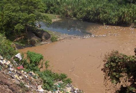 Contaminación ambiental en la ciudad de Tingo María ...