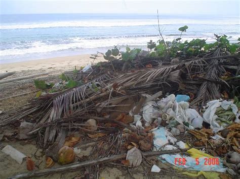 Contaminación Ambiental en Playas y Ríos