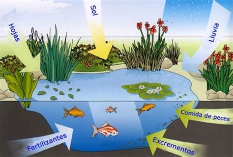Contaminación biológica del agua   ElBlogVerde.com