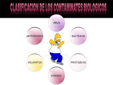 Contaminación Biológica   Monografias.com