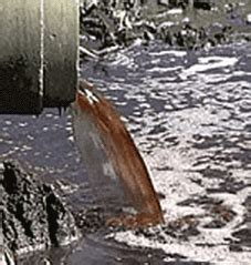 Contaminación del Agua: ¿a quién le afecta?