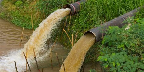 Contaminación del Agua: Concepto, Causas y Consecuencias