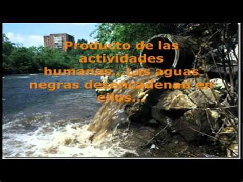 Contaminación del agua: Los ríos y El mar   YouTube