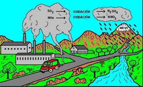 Contaminación del aire y posibles soluciones | A Green Web