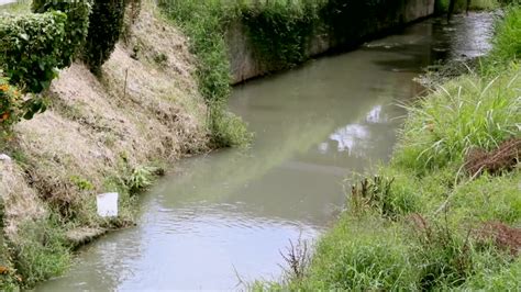 Contaminación hídrica   UNIMEDIOS: Universidad Nacional de ...