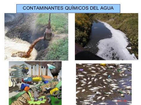 Contaminantes Del Agua   SEONegativo.com