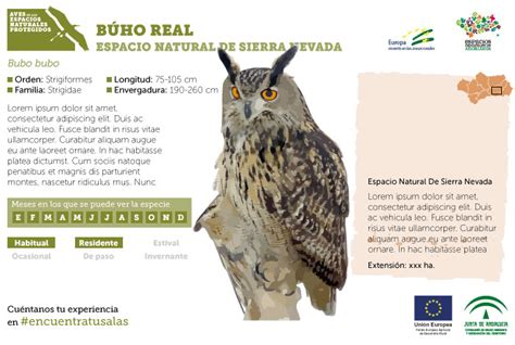 Contenidos multimedia para el Día Internacional de las Aves