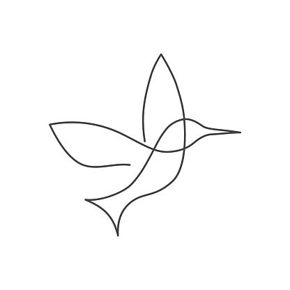 Continuous Line Bird White One Line Drawing Stock ...