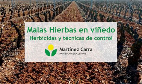 Control de Malas Hierbas en el Viñedo. Técnicas y herbicidas.