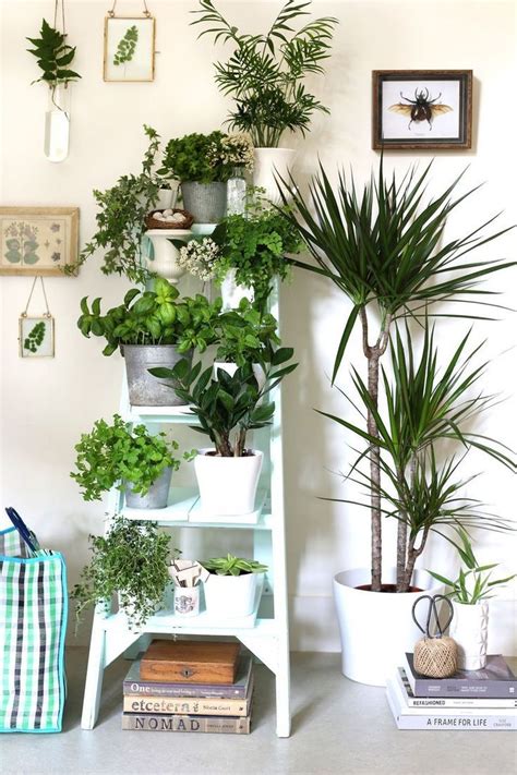 Cool Plant Stand Design Ideas for Indoor Houseplants ...