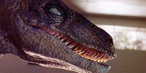 Cool Stuff: Get Your Very Own Jurassic Park Velociraptor ...