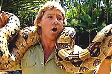 Copy: Steve Irwin faces a challenge to the crocodile hunter title ...
