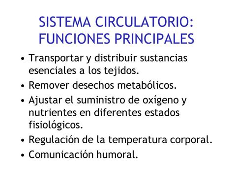 CORAZÓN Y SISTEMA CIRCULATORIO   ppt video online descargar