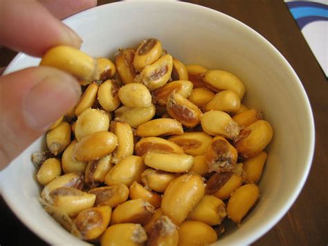 Corn nut   Wikipedia  With images  | Food
