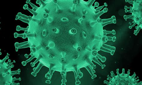 Coronavirus: así está formado el virus del COVID 19