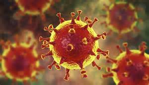 Coronavirus  COVID 19 : Todo lo que debes saber
