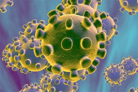 Coronavirus: cronología del virus que tiene en vilo al mundo