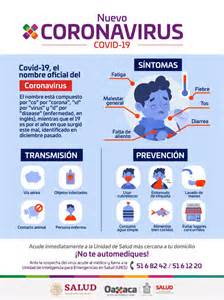Coronavirus: Inicia contagio local y Oaxaca cuenta con ...