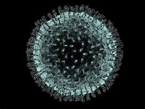 coronaviruses  SARS, MERS    YouTube