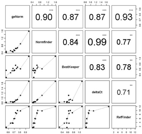 Correlation matrix visualizing reference genes ranked b ...