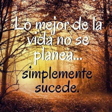 Cortas Imagenes Bonitas De Reflexion Para La Vida Paramiquotes