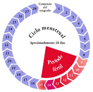 cosmofemale  :: Conoce tu ciclo menstrual