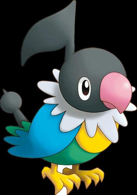 Could Chatot have an Evolution? Or Would We See Another Tropical Bird ...