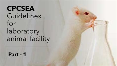 CPCSEA Guidelines for laboratory animal facility  Part 1    YouTube
