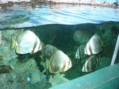 crainfantilsantibáñez: Excursión al Zoo de Madrid.