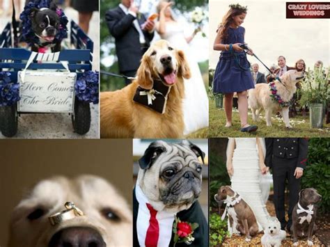 Crazy Lovers Weddings: Más que mascotas