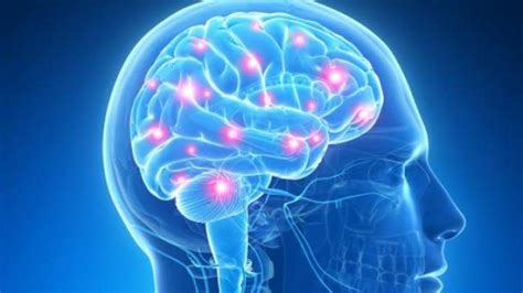 Crean un  marcapasos cerebral  para tratar la epilepsia y ...