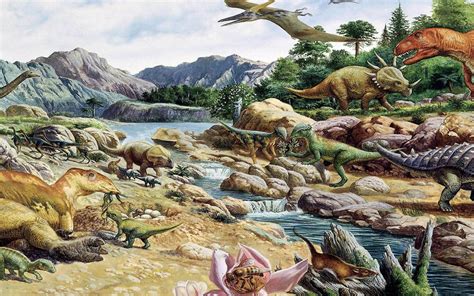 Cretaceous Collection Be5061 Xl : Wallpapers13.com