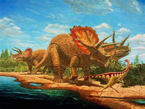 Cretaceous Dinosaurs Photograph by Chris Butler