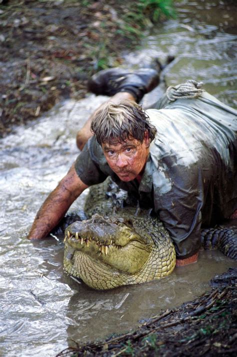 Crocodile Hunter  Steve Irwin s father was angry at cameraman that ...