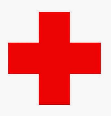 Cruz Roja Juventud organiza un año más su campamento de ...
