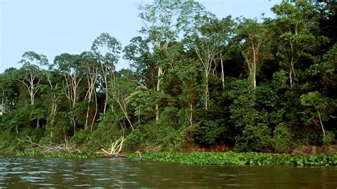 Cruzando el Amazonas   YouTube