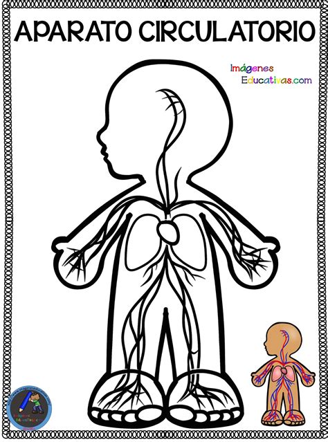Cuaderno para colorear El Cuerpo Humano  2  – Imagenes ...