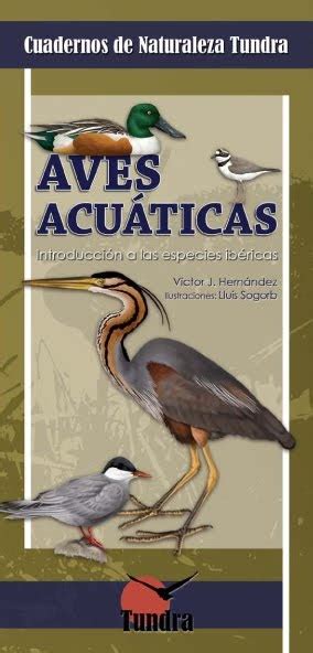 Cuadernos de Naturaleza Tundra: NUEVO CUADERNO: Nº 6. Aves ...