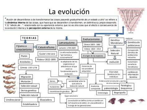 cuadro comparativo de la teoria evolucionista y ...