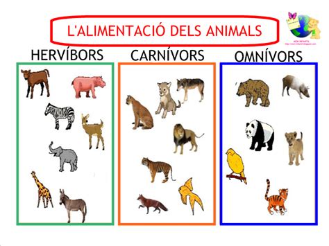 Cuadros comparativos de animales carnívoros y herbívoros ...