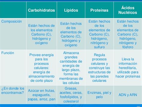Cuadros comparativos de carbohidratos, lípidos, proteínas y ácidos ...