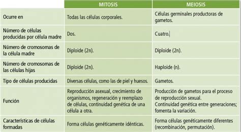 Cuadros comparativos de mitosis y meiosis | Cuadro Comparativo
