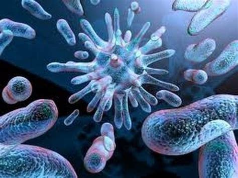 Cuadros comparativos virus vs bacterias | Cuadro Comparativo