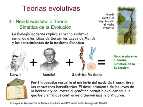 Cuadros comparativos y sinópticos de las Teorías evolutivas | Cuadro ...